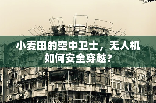 小麦田的空中卫士，无人机如何安全穿越？