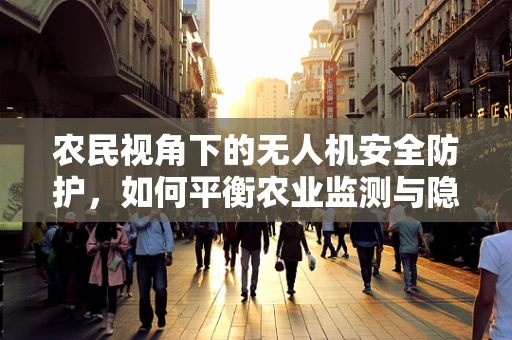 农民视角下的无人机安全防护，如何平衡农业监测与隐私保护？
