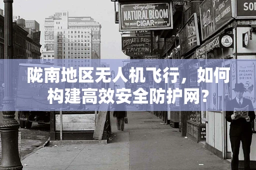 陇南地区无人机飞行，如何构建高效安全防护网？