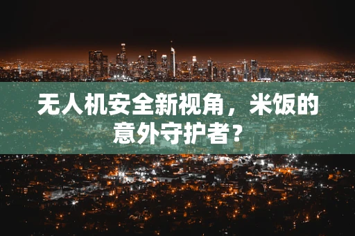 无人机安全新视角，米饭的意外守护者？