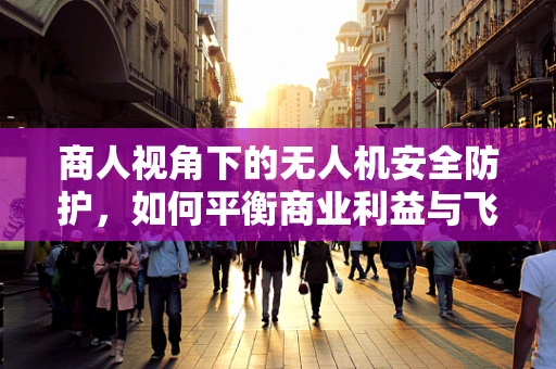 商人视角下的无人机安全防护，如何平衡商业利益与飞行安全？