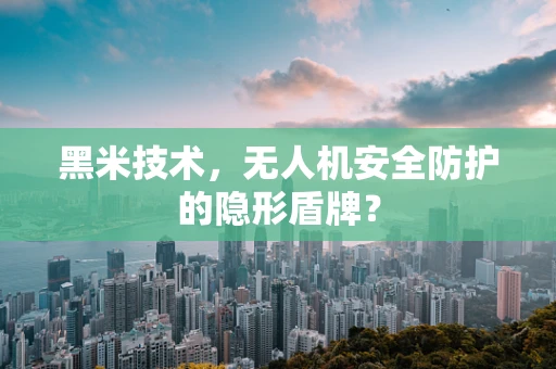 黑米技术，无人机安全防护的隐形盾牌？