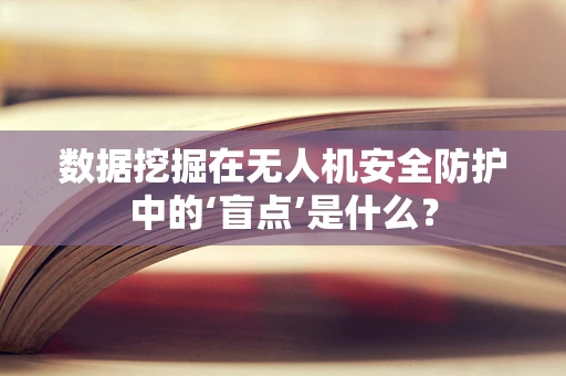 数据挖掘在无人机安全防护中的‘盲点’是什么？