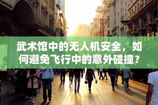 武术馆中的无人机安全，如何避免飞行中的意外碰撞？