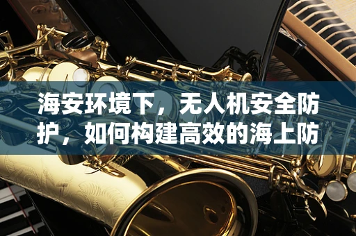 海安环境下，无人机安全防护，如何构建高效的海上防撞系统？
