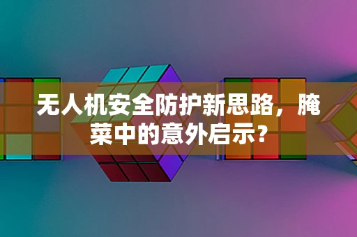 无人机安全防护新思路，腌菜中的意外启示？