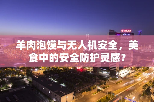 羊肉泡馍与无人机安全，美食中的安全防护灵感？