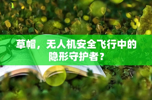 草帽，无人机安全飞行中的隐形守护者？