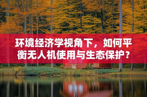 环境经济学视角下，如何平衡无人机使用与生态保护？