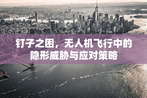 钉子之困，无人机飞行中的隐形威胁与应对策略