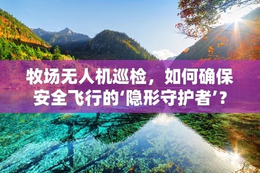 牧场无人机巡检，如何确保安全飞行的‘隐形守护者’？