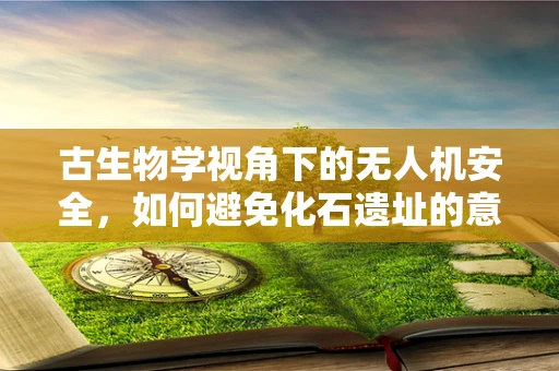 古生物学视角下的无人机安全，如何避免化石遗址的意外侵扰？