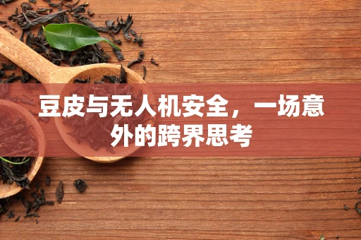 豆皮与无人机安全，一场意外的跨界思考