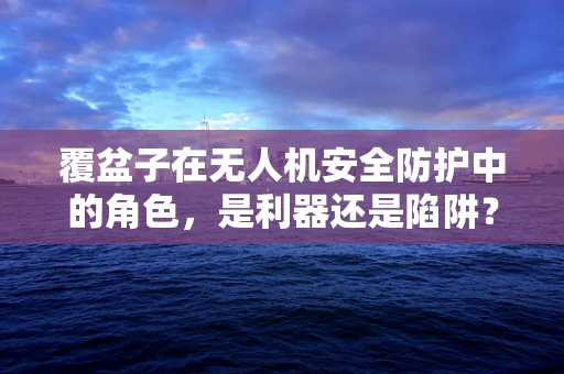 覆盆子在无人机安全防护中的角色，是利器还是陷阱？