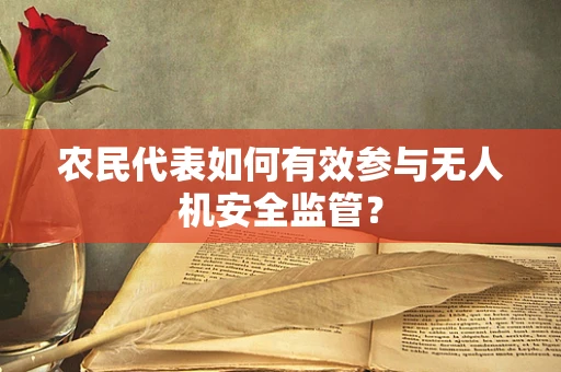 农民代表如何有效参与无人机安全监管？