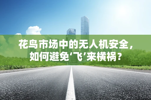 花鸟市场中的无人机安全，如何避免‘飞’来横祸？