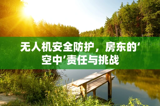 无人机安全防护，房东的‘空中’责任与挑战