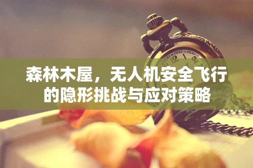 森林木屋，无人机安全飞行的隐形挑战与应对策略