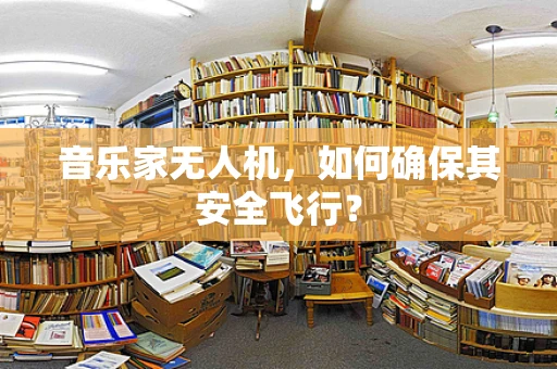 音乐家无人机，如何确保其安全飞行？