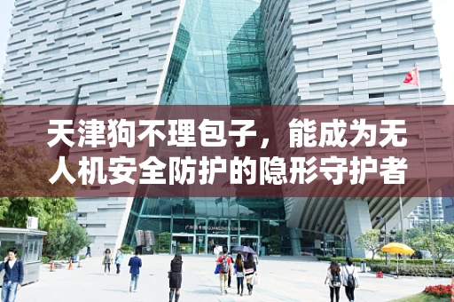 天津狗不理包子，能成为无人机安全防护的隐形守护者吗？