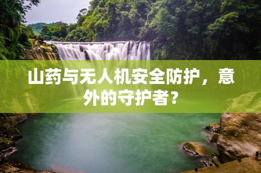 山药与无人机安全防护，意外的守护者？