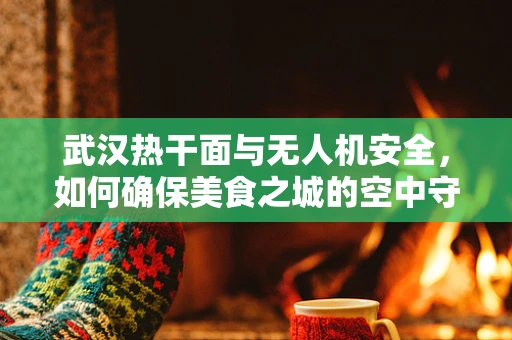 武汉热干面与无人机安全，如何确保美食之城的空中守护者？