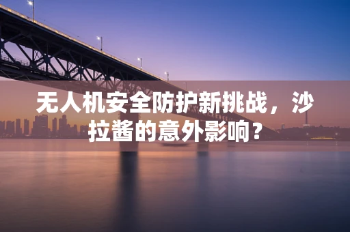 无人机安全防护新挑战，沙拉酱的意外影响？