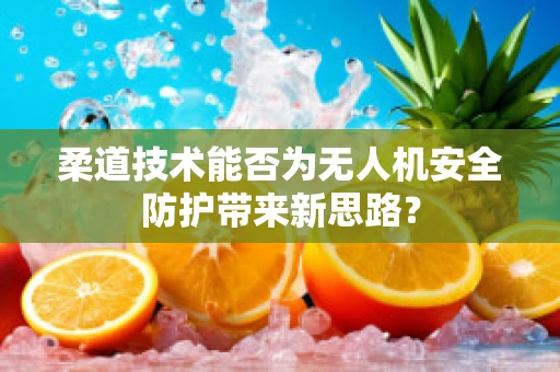 柔道技术能否为无人机安全防护带来新思路？