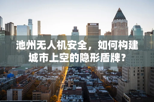 池州无人机安全，如何构建城市上空的隐形盾牌？