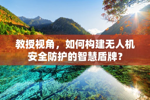 教授视角，如何构建无人机安全防护的智慧盾牌？