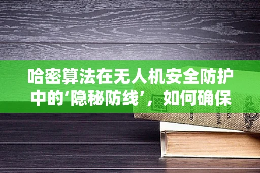 哈密算法在无人机安全防护中的‘隐秘防线’，如何确保数据传输的绝对安全？