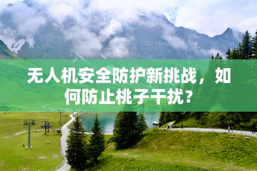 无人机安全防护新挑战，如何防止桃子干扰？