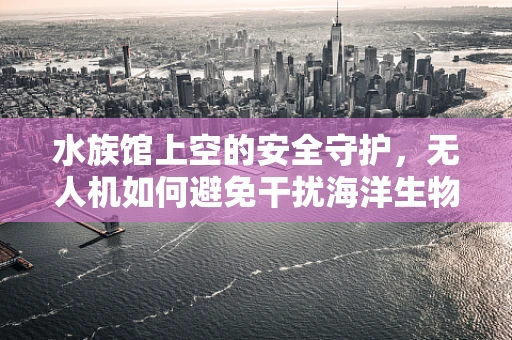 水族馆上空的安全守护，无人机如何避免干扰海洋生物？