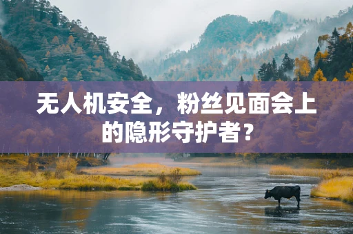 无人机安全，粉丝见面会上的隐形守护者？