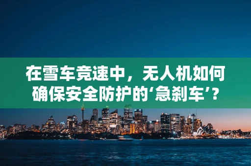 在雪车竞速中，无人机如何确保安全防护的‘急刹车’？