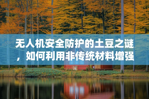 无人机安全防护的土豆之谜，如何利用非传统材料增强飞行器抗风性？