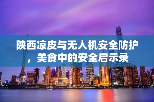 陕西凉皮与无人机安全防护，美食中的安全启示录