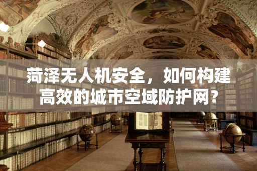 菏泽无人机安全，如何构建高效的城市空域防护网？