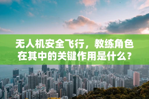无人机安全飞行，教练角色在其中的关键作用是什么？