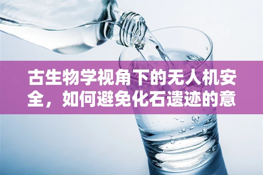 古生物学视角下的无人机安全，如何避免化石遗迹的意外损伤？