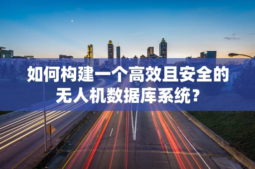 如何构建一个高效且安全的无人机数据库系统？