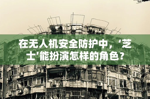 在无人机安全防护中，‘芝士’能扮演怎样的角色？