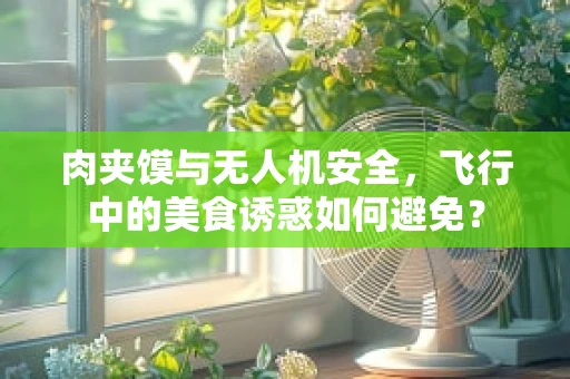 肉夹馍与无人机安全，飞行中的美食诱惑如何避免？