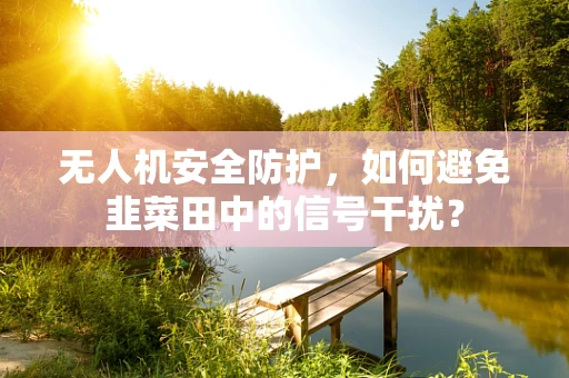 无人机安全防护，如何避免韭菜田中的信号干扰？