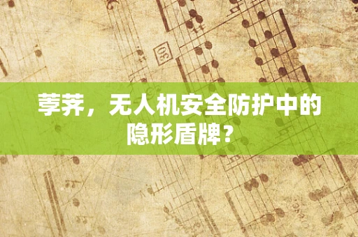 荸荠，无人机安全防护中的隐形盾牌？
