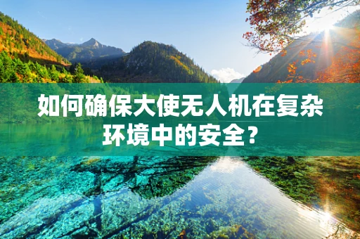如何确保大使无人机在复杂环境中的安全？