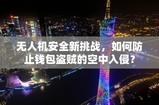 无人机安全新挑战，如何防止钱包盗贼的空中入侵？