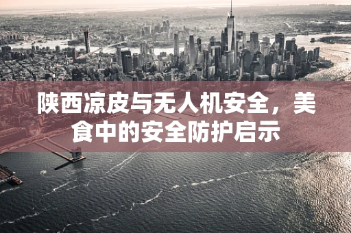陕西凉皮与无人机安全，美食中的安全防护启示