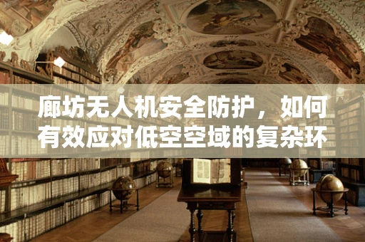 廊坊无人机安全防护，如何有效应对低空空域的复杂环境？