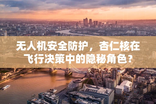 无人机安全防护，杏仁核在飞行决策中的隐秘角色？